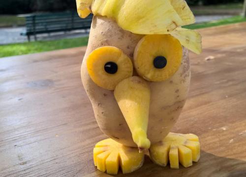 1_WP_20150926_11_13_11_ProBIS